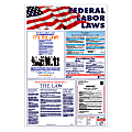 Federal And State Combination Mandatory Labor Law Poster, 36" x 24"