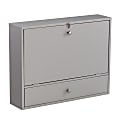 SEI Furniture Wall-Mount 26"W Writing Desk With Storage, Gray