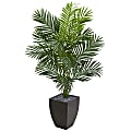 Nearly Natural Paradise Palm 66”H Artificial Tree With Planter, 66”H x 38”W x 26”D, Green/Black 1 thumbnail image