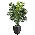 Nearly Natural Paradise Palm 66”H Artificial Tree With Planter, 66”H x 38”W x 26”D, Green/Black