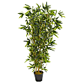 Nearly Natural 57"H Real Touch UV-Resistant Bamboo Artificial Tree, 57"H x 12"W x 12"D, Black/Green 1 thumbnail image