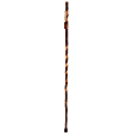 Brazos Walking Sticks™ Twisted Sweet Gum Camera Monopod Walking Stick, 55"