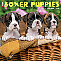 2025 Willow Creek Press Wall Calendar, 12” x 12”, Boxer Puppies, January 2025 To December 2025, 41932 1 thumbnail image