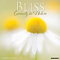 2024 Willow Creek Press Art & Design Monthly Wall Calendar, 12" x 12", Serenity In Bliss, January To December