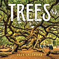 2024 TF Publishing Scenic Wall Calendar, 12" x 12", Trees, January To December