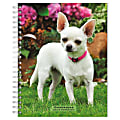 2023-2024 BrownTrout 16-Month Weekly/Monthly Engagement Planner, 7-3/4" x 7-3/16", Chihuahuas, September To December