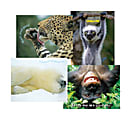 Barker Creek® Chart Set, Be Healthy, 17" x 22", Grades Pre-K+, Pack Of 4 1 thumbnail image