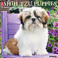 2024 Willow Creek Press Animals Monthly Wall Calendar, 12" x 12", Just Shih Tzu Puppies, January To December