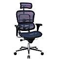 Raynor® Ergohuman High-Back Ergonomic Mesh Chair, Blue/Chrome