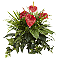 Nearly Natural Mixed Anthurium 24" Artificial Plants, Red, Set Of 2 Plants
