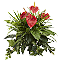 Nearly Natural Mixed Anthurium 24" Artificial Plants, Red, Set Of 2 Plants 1 thumbnail image