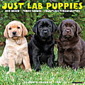 2024 Willow Creek Press Animals Monthly Wall Calendar, 12" x 12", Just Lab Puppies, January To December