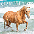 2024 Willlow Creek Press Animals Monthly Wall Calendar, 12" x 12", American Quarter Horses, January To December