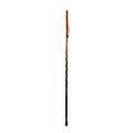 Brazos Walking Sticks™ Traveler's Collapsible Twisted Oak Walking Stick, 55", Red