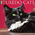 Willow Creek Press Animals Monthly Wall Calendar, 12" x 12", Just Tuxedo Cats, January to December 2022, 19870 1 thumbnail image