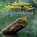 2026 Willow Creek Press Monthly Mini Wall Calendar, 7" x 7", Inspirations, January To December, 53614 1 thumbnail image