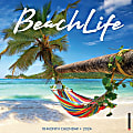 2024 Willow Creek Press Scenic Monthly Wall Calendar, 12" x 12", Beach Life, January To December