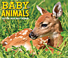 Willow Creek Press Page-A-Day Daily Desk Calendar, 5-1/2" x 6-1/4", Baby Animals, January To December 2022 1 thumbnail image