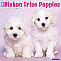 2024 Willow Creek Press Animals Monthly Wall Calendar, 12" x 12", Just Bichon Frise Puppies, January To December