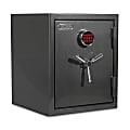 Sanctuary Platinum Digital Home/Office Safe, 3.32 Cu. Ft., Dark Grey Metallic