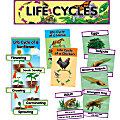 Creative Teaching Press® Mini Bulletin Board Set, Life Cycles, Grades K-5