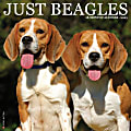 2025 Willow Creek Press Animals Monthly Wall Calendar, 12” x 12”, Beagles, January To December, 41666 1 thumbnail image