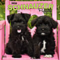 2024 BrownTrout Monthly Square Wall Calendar, 12" x 12", Schnauzer Puppies, January to December