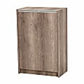 Baxton Studio Modern And Contemporary 36"H 2-Door Shoe Storage Cabinet, Weathered Oak 1 thumbnail image