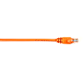 Black Box Connect Cat.6 UTP Patch Network Cable - 5 ft Category 6 Network Cable for Network Device - First End: 1 x RJ-45 Network - Male - Second End: 1 x RJ-45 Network - Male - 1 Gbit/s - Patch Cable - Gold Plated Contact - CM - 26 AWG - Orange