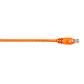 Black Box Connect Cat.6 UTP Patch Network Cable - 5 ft Category 6 Network Cable for Network Device - First End: 1 x RJ-45 Network - Male - Second End: 1 x RJ-45 Network - Male - 1 Gbit/s - Patch Cable - Gold Plated Contact - CM - 26 AWG - Orange - 1 Each 1 thumbnail image
