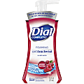 Dial® Complete® Antibacterial Foam Hand Wash Soap, Cranberry Scent, 7.5 Oz Pump Bottle