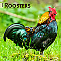 2025 BrownTrout Roosters Monthly Plastic-Free Square Wall Calendar, 12" x 12", Domesticated Animals, January to December 2025, 9781975477639 1 thumbnail image