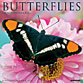 2026 Willow Creek Press Animals Monthly Wall Calendar, 12" x 12", Butterflies, January To December, 50453 1 thumbnail image