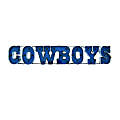 Imperial NFL Lighted Metal Sign, 8-3/4" x 49-1/2", 90% Recycled, Dallas Cowboys