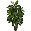 Nearly Natural Oak Ficus 48”H Artificial Tree With Pot, 48”H x 22”W x 22”D, Green