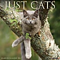 Willow Creek Press Animals Monthly Wall Calendar, 12" x 12", Just Cats, January to December 2022, 17357 1 thumbnail image