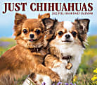 Willow Creek Press Page-A-Day Daily Desk Calendar, 5-1/2" x 6-1/4", Chihuahuas, January To December 2022 1 thumbnail image