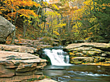 Biggies Landscape/Seascape Mural, 48" x 36", Unframed, Stream 1 thumbnail image