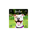 Custom Full-Color Acrylic Photo Wall Art Panel With Brushed Silver Stand-Off Mounting Hardware, 8” x 8” 1 thumbnail image