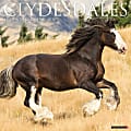 2026 Willow Creek Press Animals Monthly Wall Calendar, 12" x 12", Clydesdales, January To December, 55373 1 thumbnail image