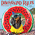 2025 Willow Creek Press Monthly Wall Calendar, 12” x 12”, Dachshund Rules, January 2025 To December 2025, 42656 1 thumbnail image
