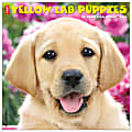 2026 Willow Creek Press Animals Monthly Wall Calendar, 12" x 12", Yellow Lab Puppies, January To December, 53348 1 thumbnail image