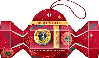 Burt's Bees Bit of Burt's Beeswax 2-Piece Gift Set