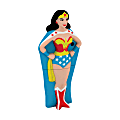 EMTEC Superhero USB 2.0 Flash Drive, Wonder Woman, 4GB 1 thumbnail image