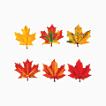 Trend® Classic Accents® Variety Pack, Maple Leaves, Pack Of 36 1 thumbnail image