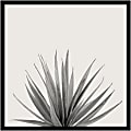 Amanti Art Haze Agave Succulent by The Creative Bunch Wood Framed Wall Art Print, 25”H x 25”W, Black