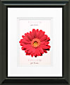 Timeless Frames Supreme & Addison Framed Floral Artwork, 8" x 10", Black, Pink Daisy