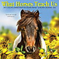 2025 Willow Creek Press Monthly Wall Calendar, 12” x 12”, What Horses Teach Us, January 2025 To December 2025, 45381 1 thumbnail image