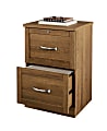Realspace® Premium 17"D Vertical 2-Drawer File Cabinet, Golden Oak