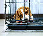 Floortex® P-Tex Polycarbonate Dog Crate Floor Protector, 35" x 47", Clear